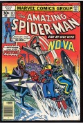 Amazing Spider Man  171  FVF